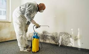 Mold Remediation for Rental Properties in Clyde, NY